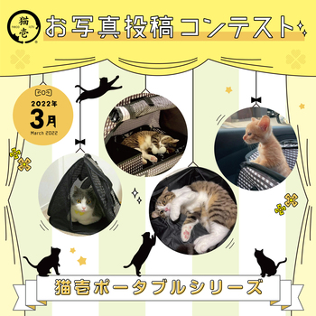 【猫壱Instagram】2022年3月お写真コンテスト開催概要