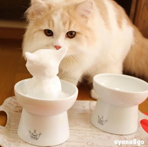 ＜猫壱＞猫用食器　脚付食器　ハッピーダイニング　脚付フードボウル L　猫ちゃんと一緒1