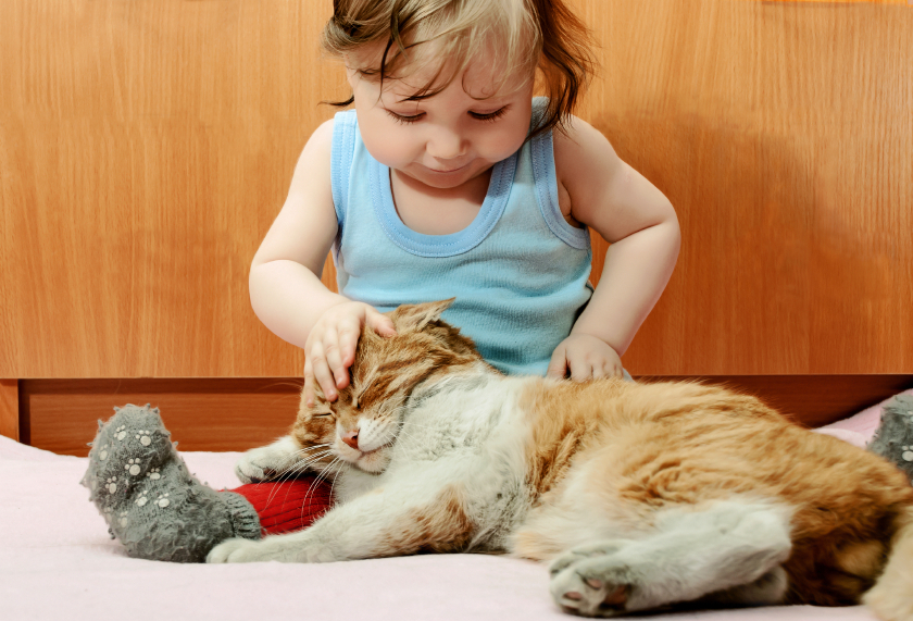 猫は子供に優しい 猫と赤ちゃんの不思議な関係とは 猫壱 Necoichi