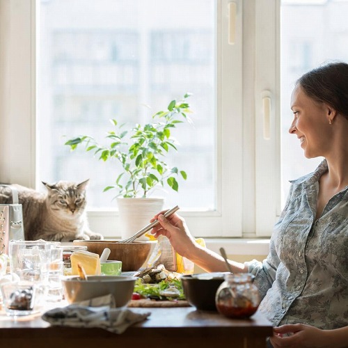 猫に玉ねぎは超危険 犬や猫に絶対に玉ねぎを与えてはいけない理由とは 猫壱 Necoichi