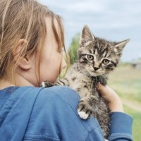 猫に噛まれると41%の人がうつ病になる？猫と病気の不思議な関係