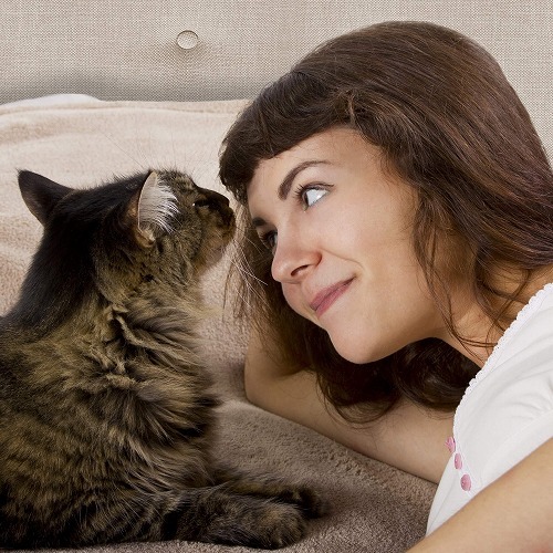 【本当に好かれてる？！】一緒に眠るときの場所でわかる猫からの愛情度診断