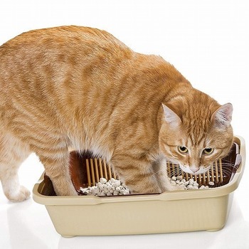 【猫のDIY】プチプラ簡単♪システムトイレ風猫トイレ&トイレカバー