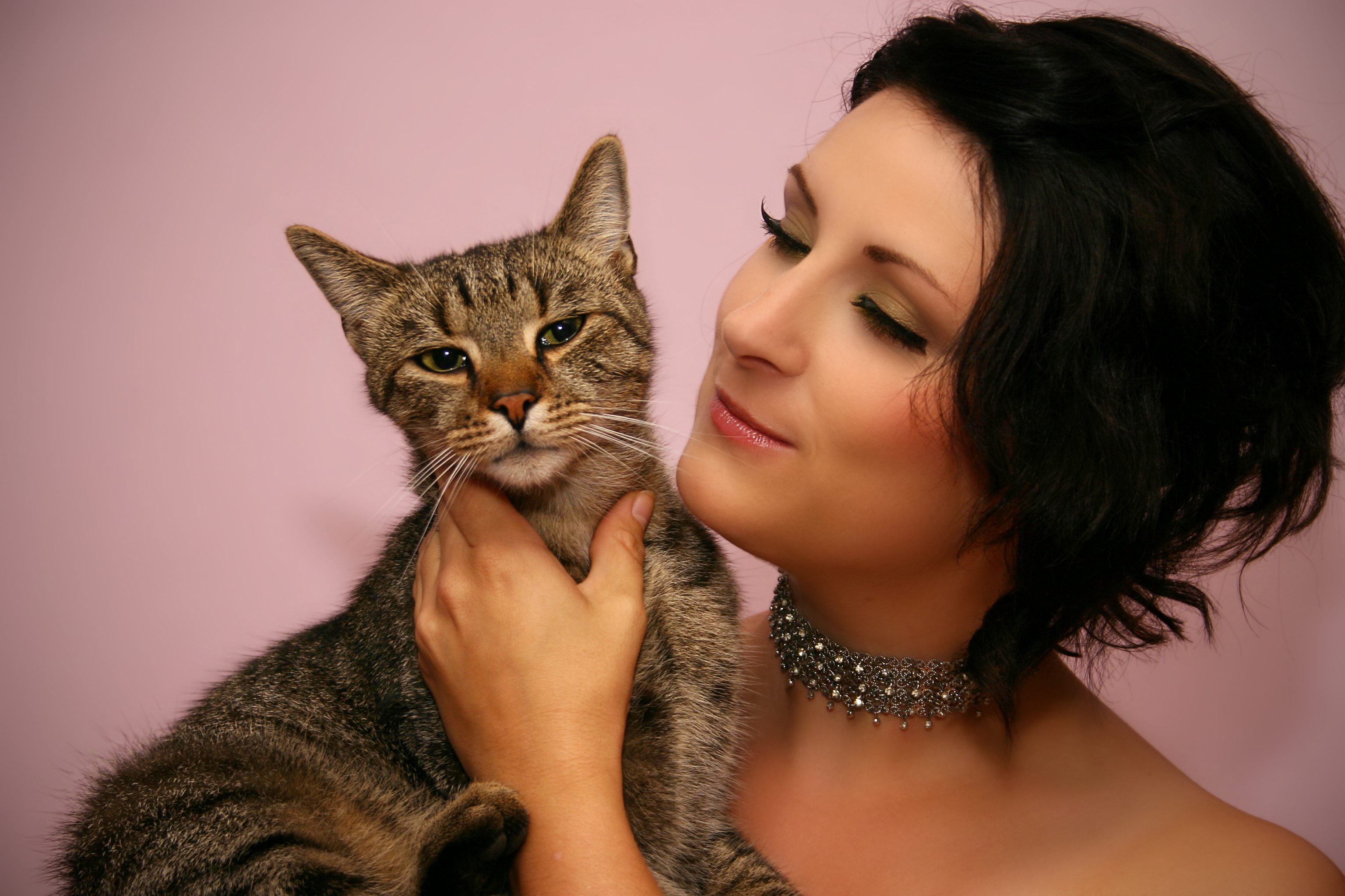 【猫の謎】猫にとって飼い主の顔はどうでもいい？猫が好きな 