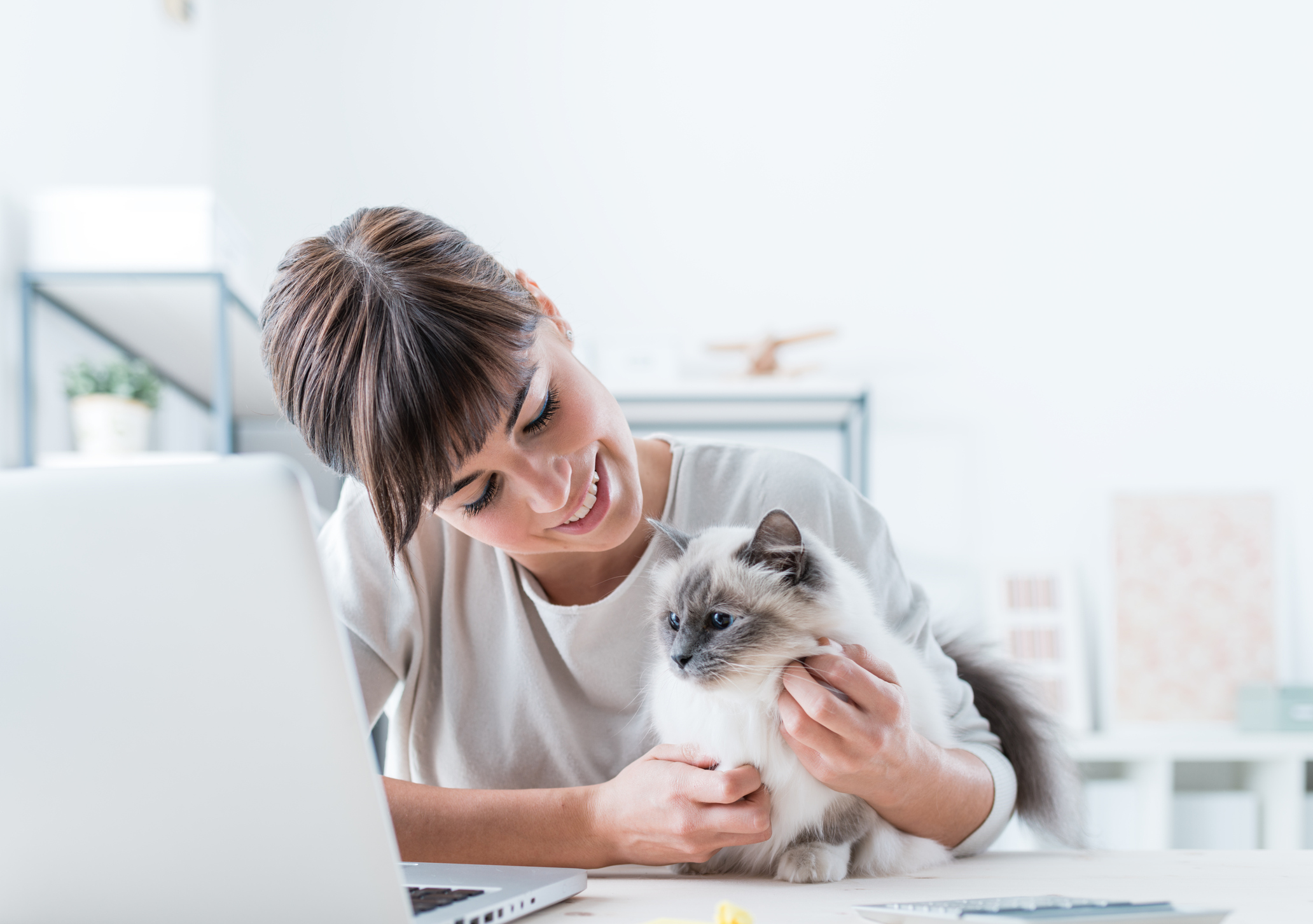 あなたは猫に依存しすぎかも ペット依存症 が増えているらしい 猫壱 Necoichi