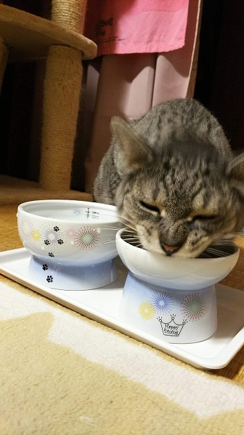 夏仕様