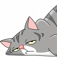 猫の痒みは生活環境の〇〇が原因？猫がアレルギー体質になる理由とは