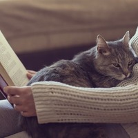 知ってる？猫が快適に暮らすための季節ごとに必要な猫のケアの仕方とは