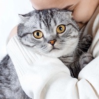 猫の幸せは飼い主次第。愛猫との暮らしに役立つ5つのポイント