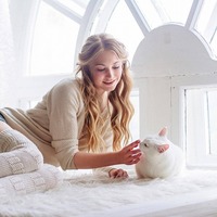 女性の41%は猫が好き！猫は女性を幸せにする？猫が女性を虜にする3つの理由