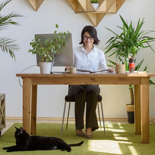 もしも会社に猫がいたら？「オフィス キャット」が必要とされる3つの理由