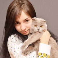 猫のココがたまらニャイ！猫が好きな人に聞いた猫のチャームポイント