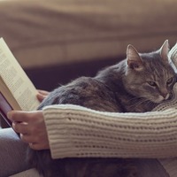 猫は抱っこされるのが好きor嫌い？猫が喜ぶコミュニケーション方法とは