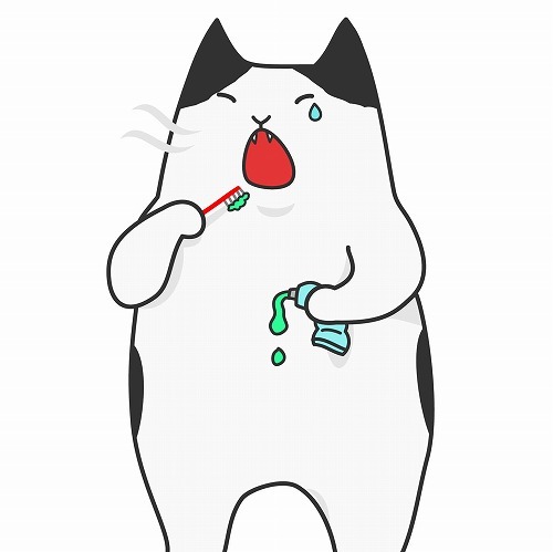 猫の歯磨き、していますか？長生きに繋がる愛猫の簡単な歯磨きの方法とは
