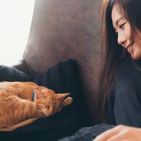 100人100様の愛猫との出会い。運命としか言いようがない出会いエピソード