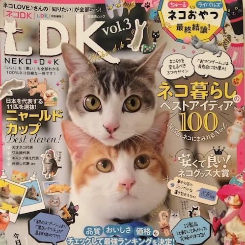 猫壱の商品はどれがベスト？安くて良い！ネコDKが選んだ猫のベストグッズ