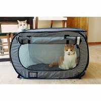 猫に快適な部屋作りをしていますか？猫が喜ぶ理想の部屋の8つの基本