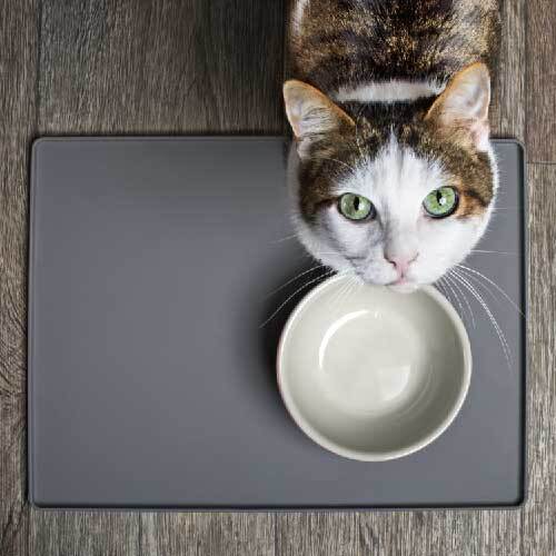 ヒト用の食器洗剤は猫の食器にはNG？猫が喜ぶ食器の洗い方とは