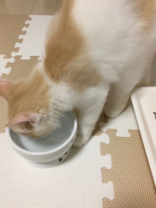 お水を飲む