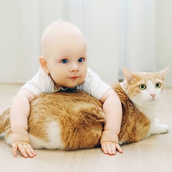 子供が○歳になるまで猫は子供を猫可愛がりする！？猫と子供の不思議な関係