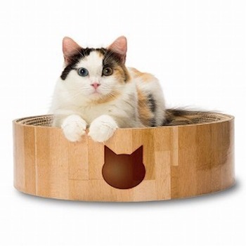 愛猫にぴったりのモノが欲しい。猫グッズのお悩みはこれで解決！