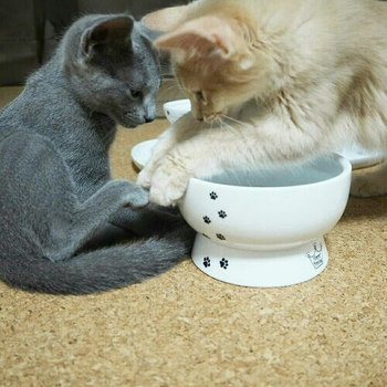 猫の健康は『水』が要！元気な猫でいるために必要な水分量とは？