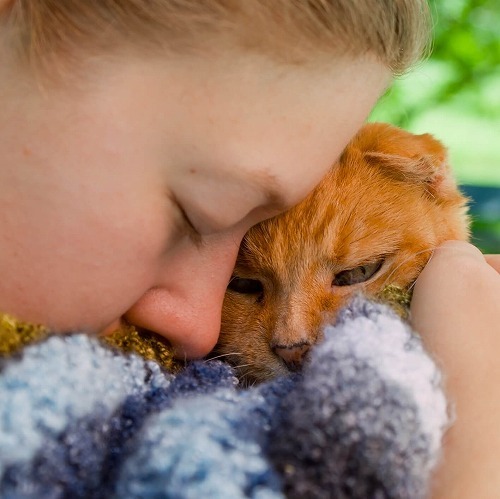 猫の余命宣告。後悔しないためにできる4つのこと