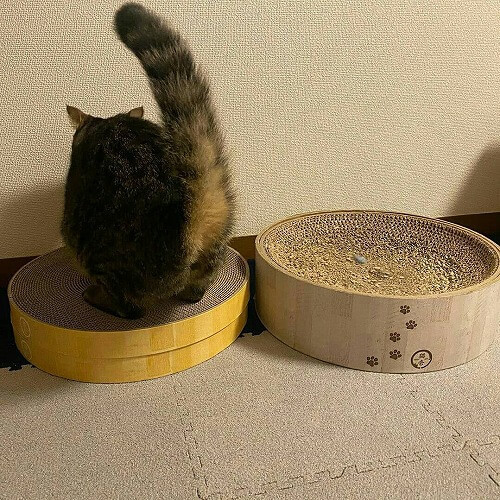 ＜猫壱＞爪とぎ　交換用爪とぎ　バリバリボウル交換用2個パック　猫ちゃんと一緒1