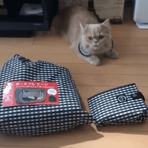 ＜猫壱＞猫用ケージ　猫用トイレ　防災グッズ　ポータブルケージとトイレのセット　猫ちゃん一緒　動画1