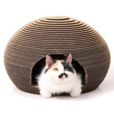 猫のくら&lt;br&gt;&lt;p style=&quot;font-size:75%;&quot;&gt;私の隠れ家&lt;/p&gt;　【公式店限定】