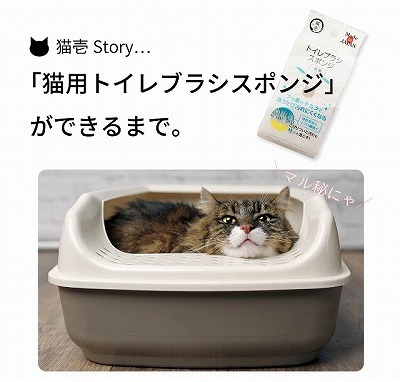 誕生秘話☆猫用トイレスポンジができるまで【猫壱Story】