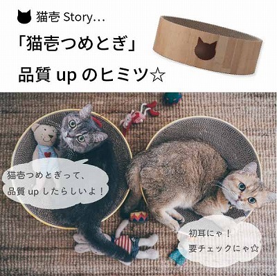 猫壱つめとぎ品質upのヒミツ☆【猫壱Story】