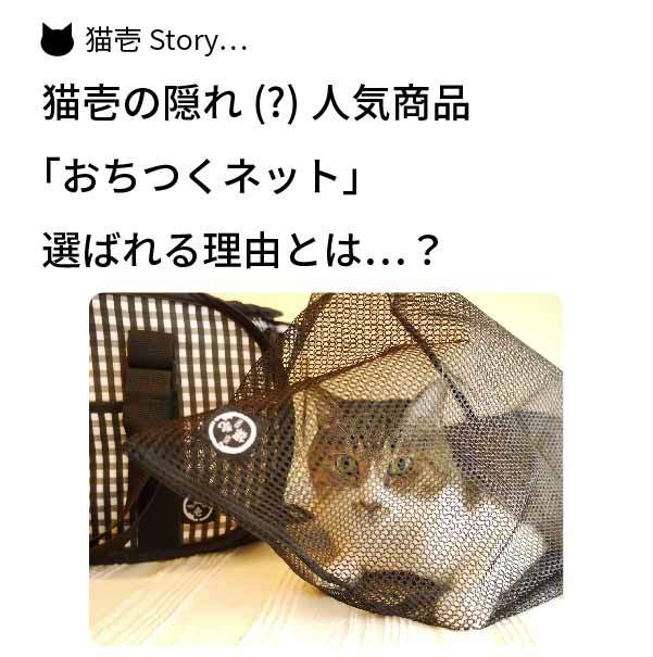 隠れ(?)人気商品「おちつくネット」【猫壱Story】