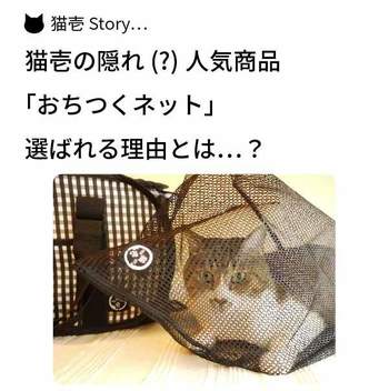隠れ(?)人気商品「おちつくネット」【猫壱Story】