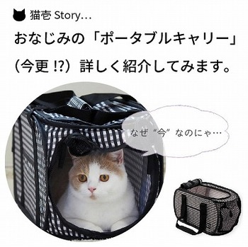 おなじみの「猫壱ポータブルキャリー」を詳しく紹介してみます【猫壱Story】