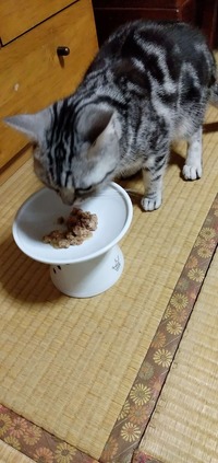 もぐもぐ美味しにゃ