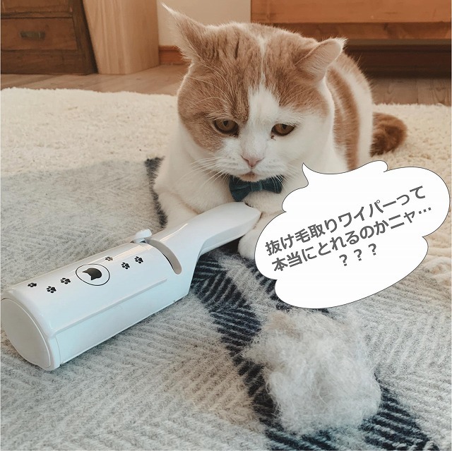 猫の抜け毛掃除に大活躍 猫なでワイパーとしても 年4月13日 Biglobeニュース