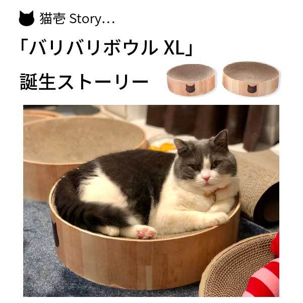 バリバリボウルXL誕生ストーリー【猫壱Story】