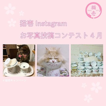 【猫壱Instagram】お写真投稿コンテスト4月♪開催概要