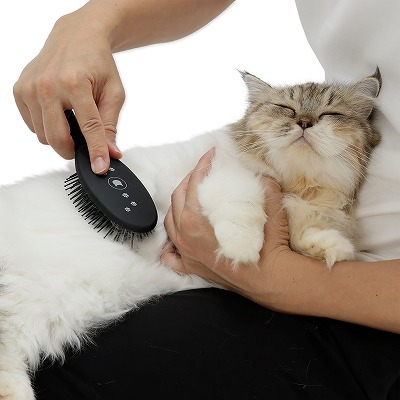 抜け毛をとり自然な艶を出すブラシ（中・長毛猫用）　日本製&lt;br&gt;&lt;p style=&quot;font-size:75%;&quot;&gt;猫にも人にも優しいブラッシング時間を…&lt;/p&gt;