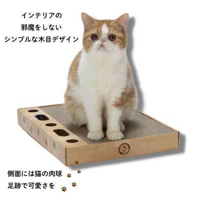 ＜猫壱＞爪とぎ　バリバリパッドコロコロボールスクエア　デザイン