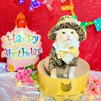 7歳の誕生日も猫壱バリバリボウルと一緒に