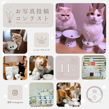 【猫壱Instagram】11月お写真コンテスト開催概要