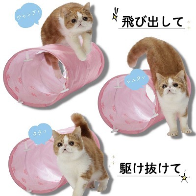 ピンクの猫様　専用 Amazon.co.jp: 飯川雄大 コレータークラブ ピンクの猫の小林さん
