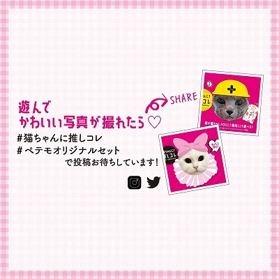 ＜猫壱＞猫ちゃんに！推しコレ　イオンペット限定　商品画像2