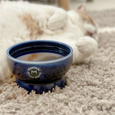 ＜猫壱＞猫用　脚付ウォーターボウル　日本製　ブルー　猫入り画像4