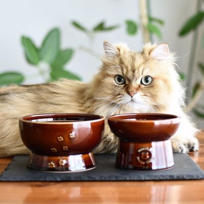 ＜猫壱＞猫用　脚付ウォーターボウル　日本製　ブラウン　猫入り画像2