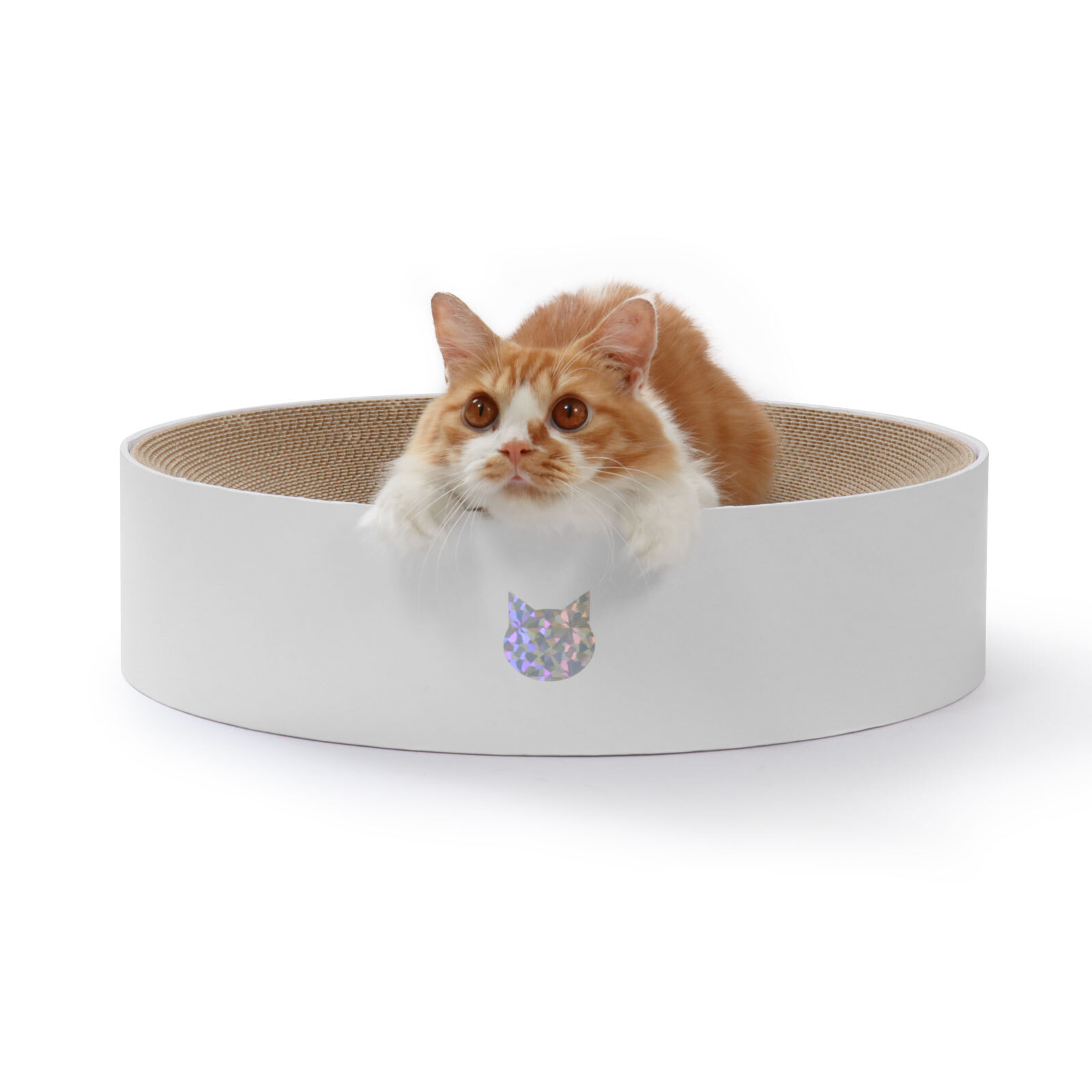 ◆ハーバリウム　265  くるっと可愛いねこbottle *.:。✿*゜¨ ねこみ～る 無添加ピュア PureValue5 鶏むね 40g×14袋 – RIVERD