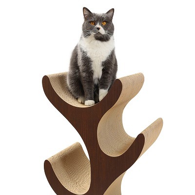 【新品】猫壱キャットツリー キャットツリー猫のなる木がある幸せ【Amazon専売】 | 猫壱