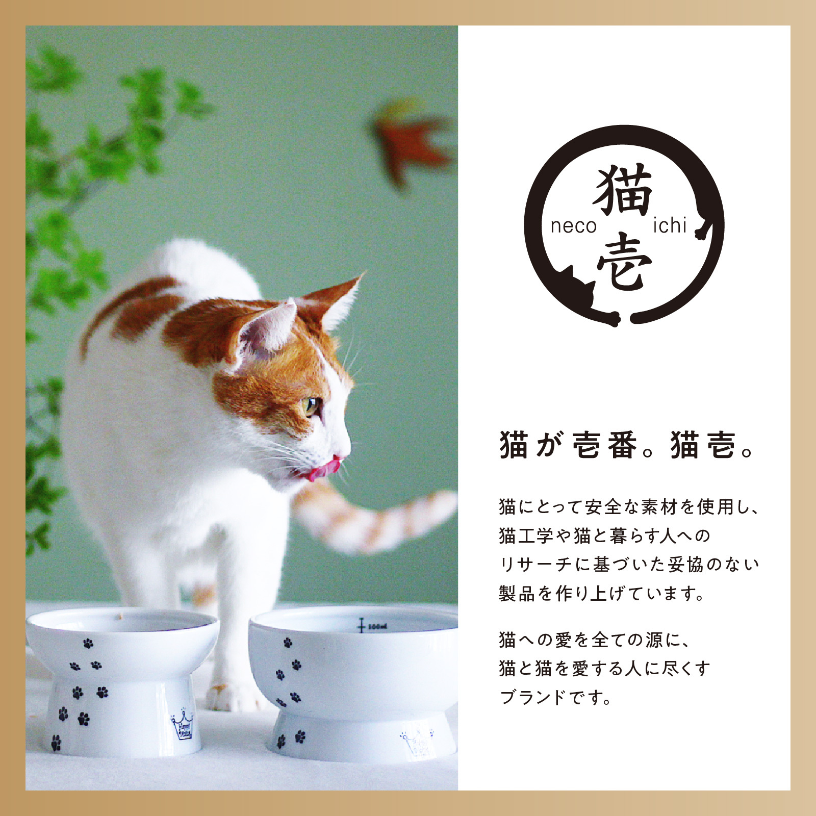 バリバリボウルXL ナチュラル大きな猫ものびのび 寝てよし、研いでよし